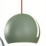 Phloem Pendant Light