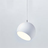 Phloem Pendant Light