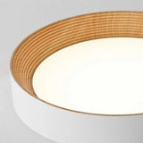 Senheim Ceiling Light
