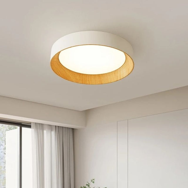 Senheim Ceiling Light