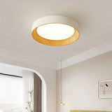 Senheim Ceiling Light