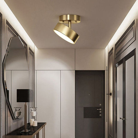 Astral Ceiling Light