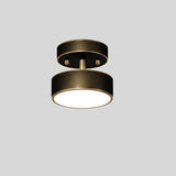 Astral Ceiling Light