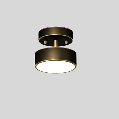 Astral Ceiling Light