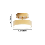 Bismuth Ceiling Light