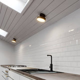 Bismuth Ceiling Light