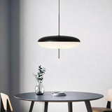 Lenticular Pendant Light