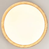 Tech Ceiling Light