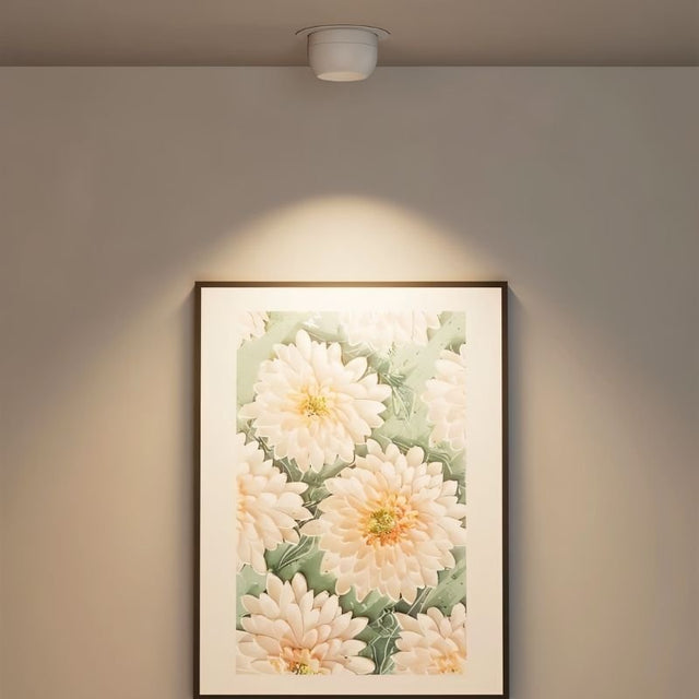 Vosne Downlight