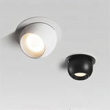 Vosne Downlight