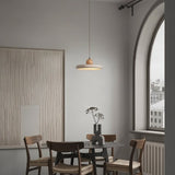 Koudekerke Pendant Light