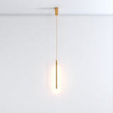 Zoom Pendant Light