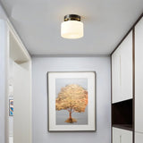 Marsannay Ceiling Light