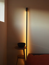 Parabola Wall Lamp