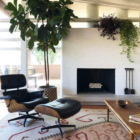 Ottoman Mid-Century Lounge Chair - Black Palisander / United States - Level Decor