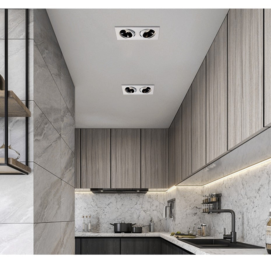 Single/Double Head LED Recessed Ceiling Spotlight - Level Decor