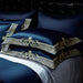Royal Sansa Egyptian Cotton Duvet Cover Set - Level Decor